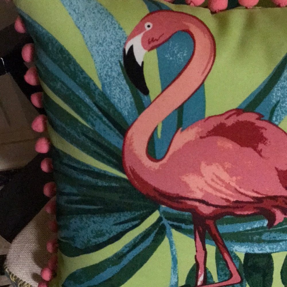 Meet your Posher, Rose